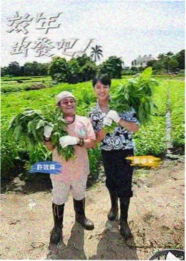 天空影视在线观看免费播放电视剧 - 奇妙旅行